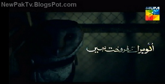 drama ullu baraye farokht nahi episode 8